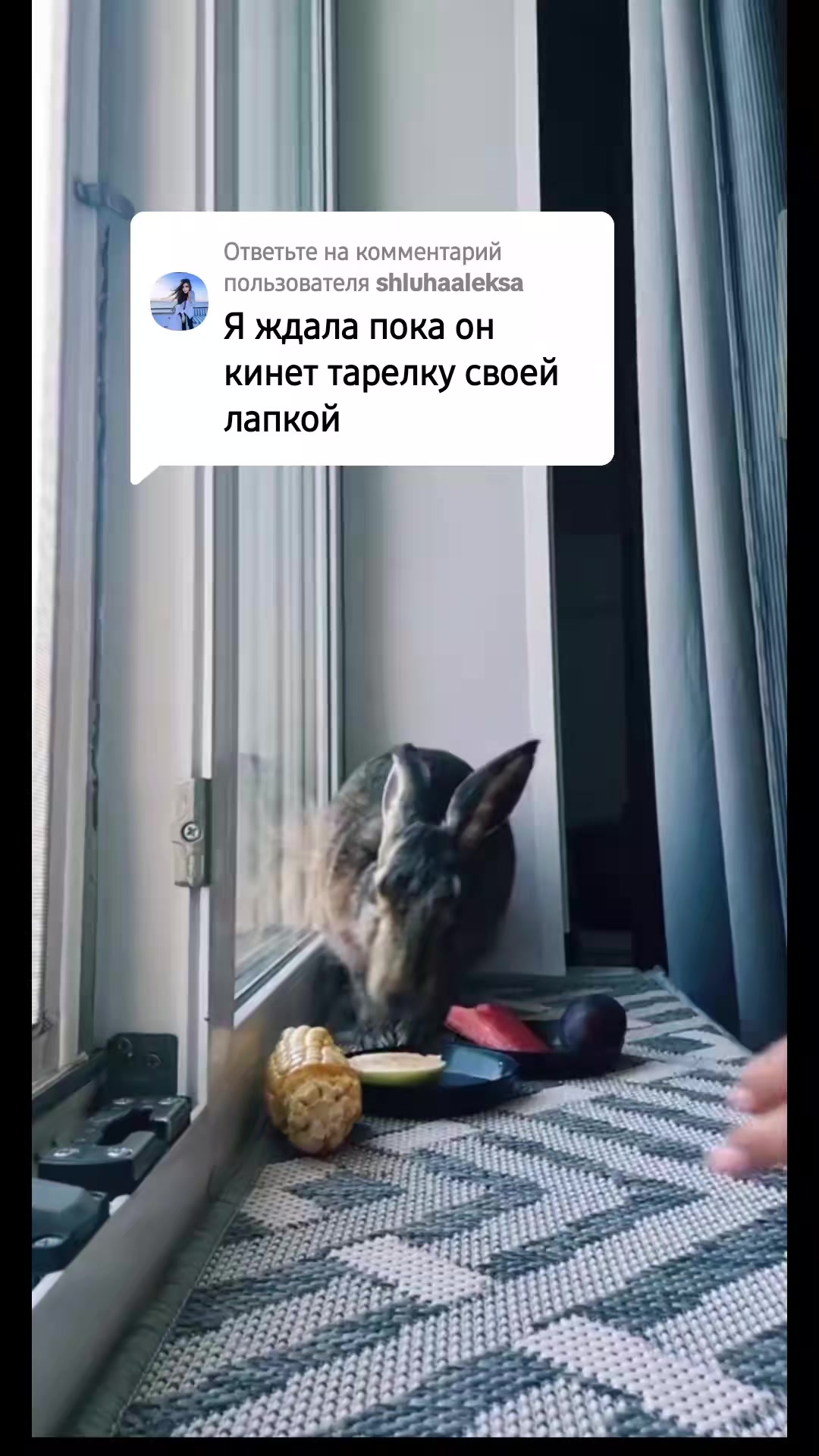 @зайка Блума💋