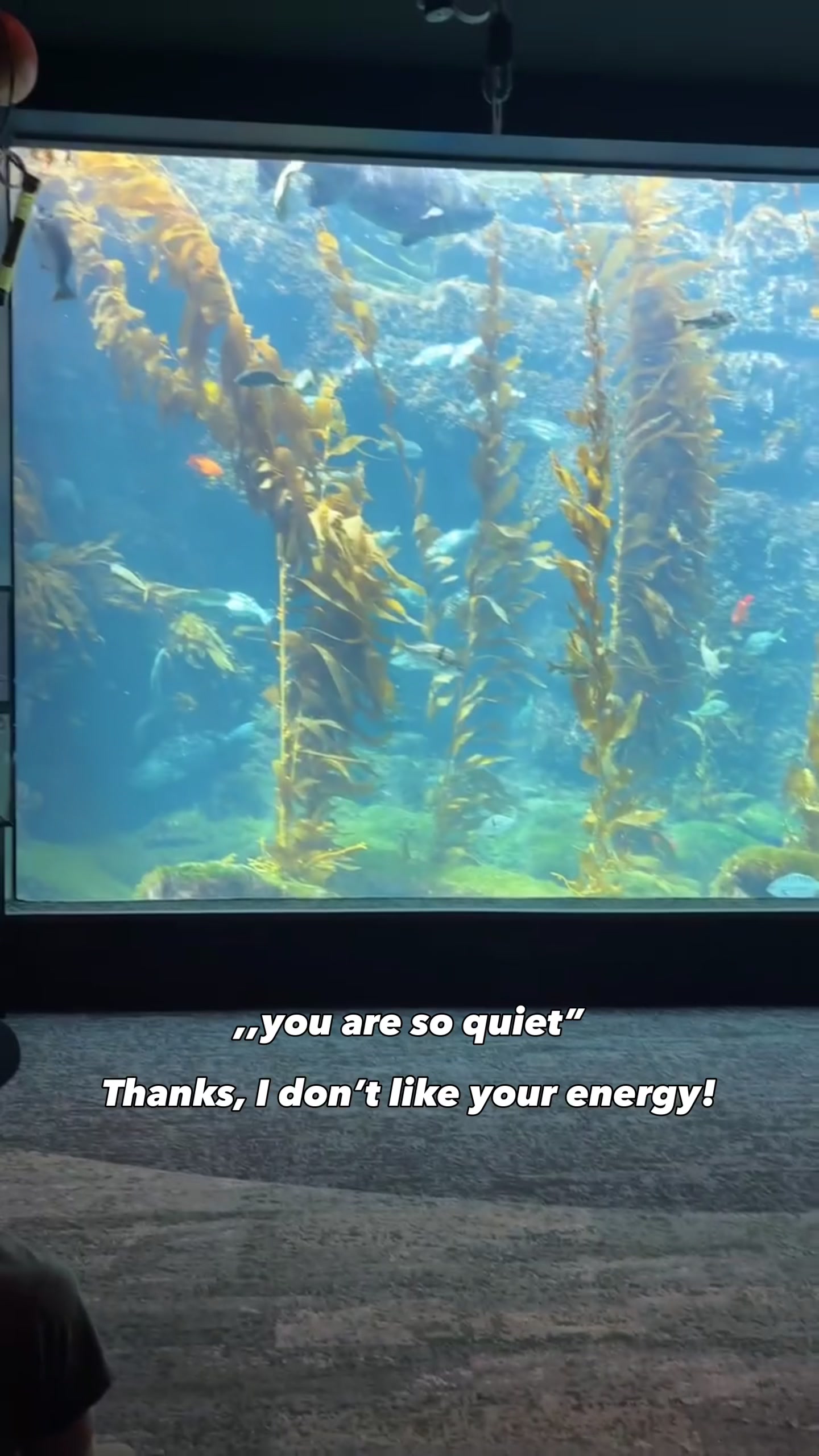 @Isabelle Winston