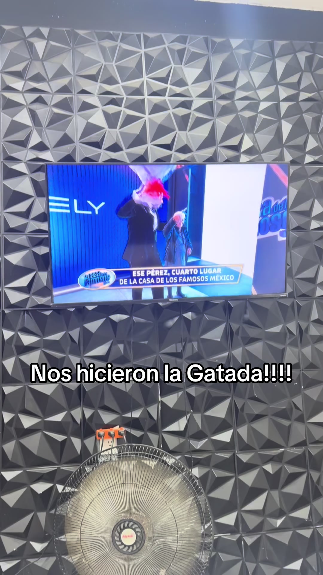 @Carolina Hernandez