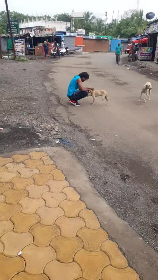 @rajratna4666