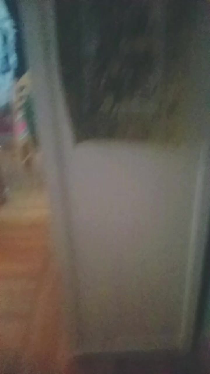 @kitten