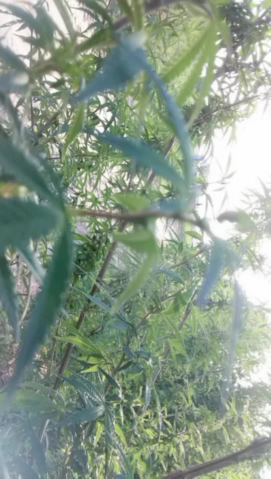 @user9229880773672