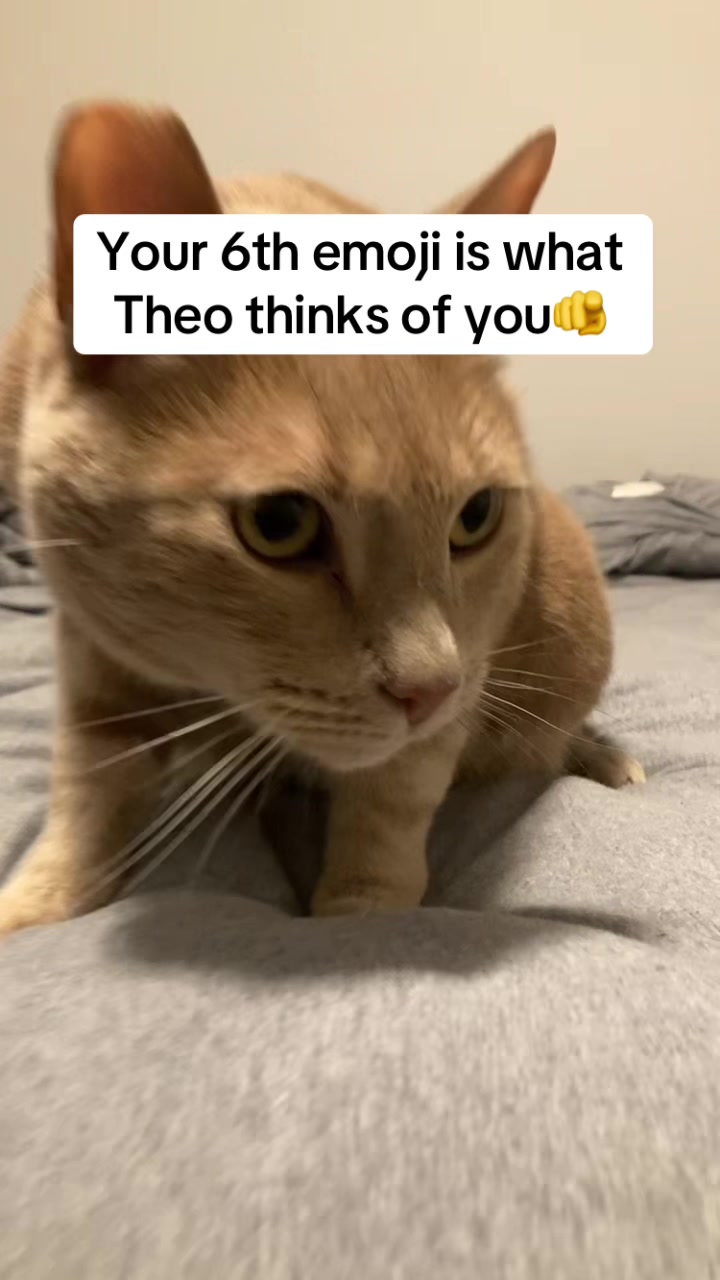 @Theo