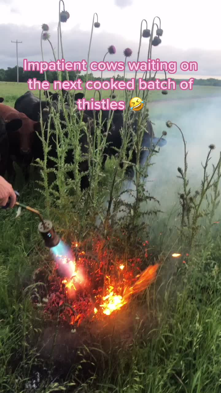@ImJustMe