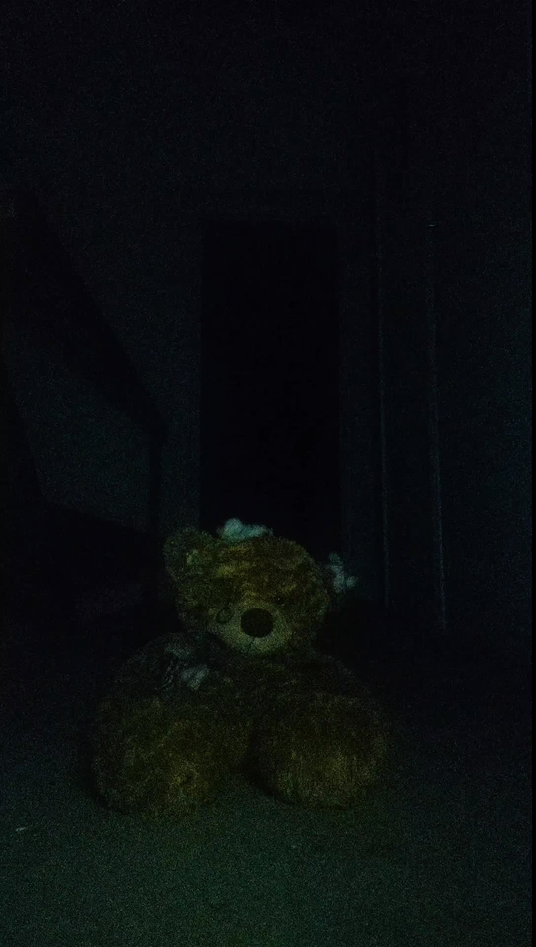@Puppet Cat6