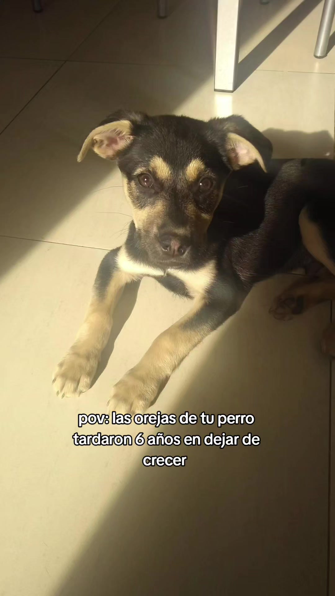 @ragnarito