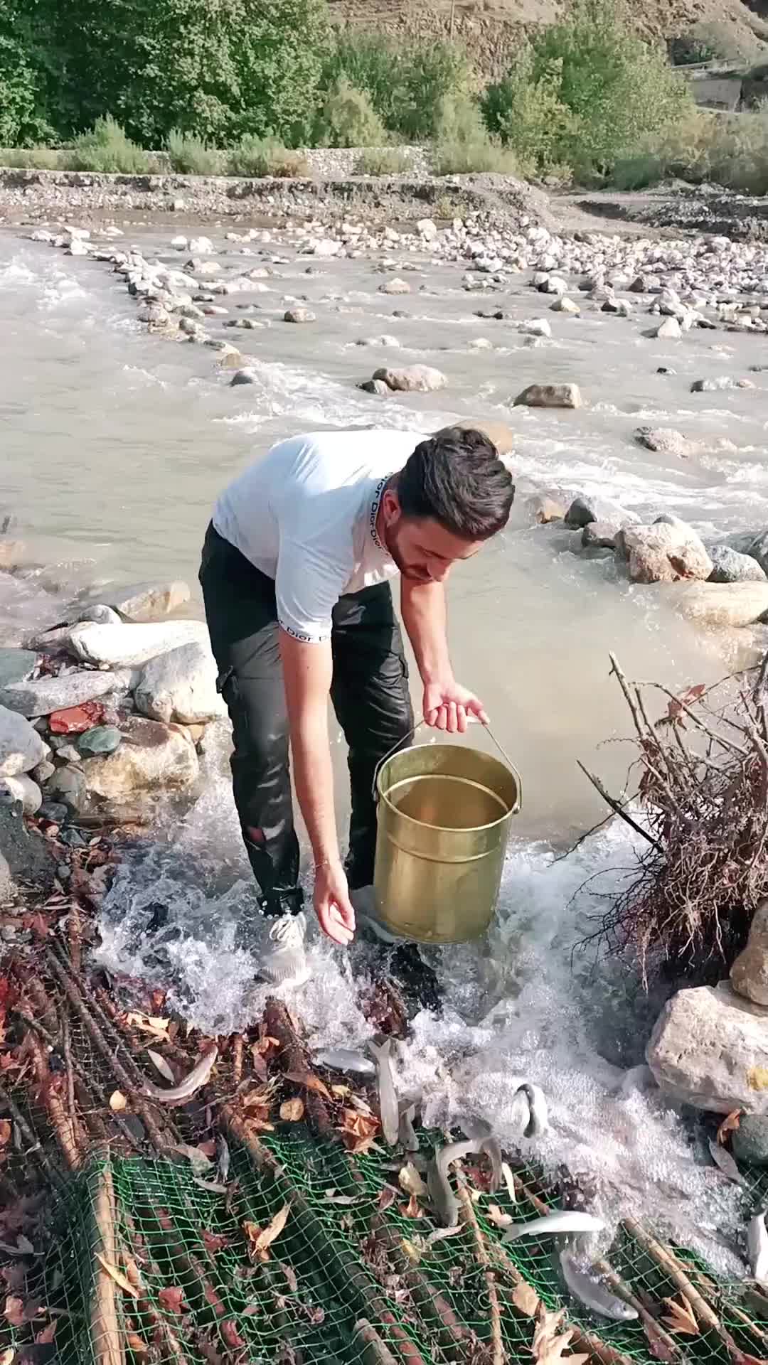 @gökhan basıc