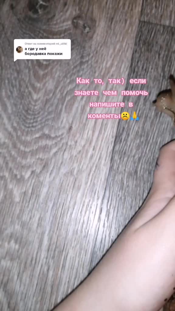 @Улиточки🐌💞