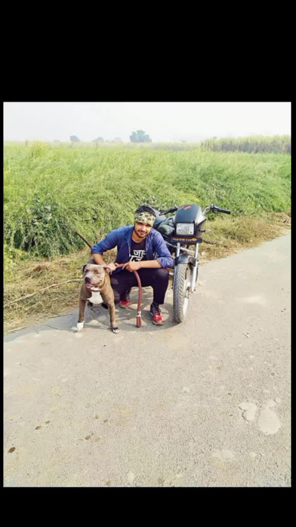 @abhishekmalik00001