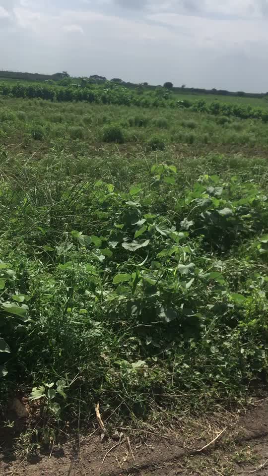 @KaNnaN.M