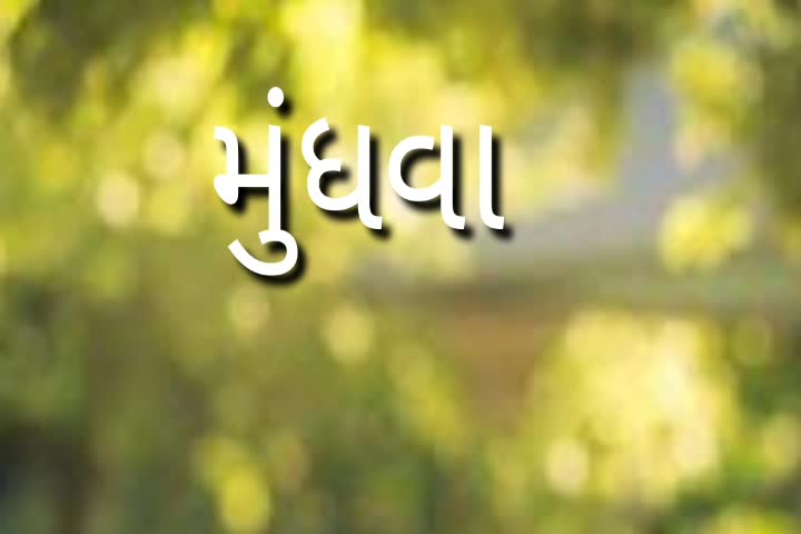 @Shayar Mundhva