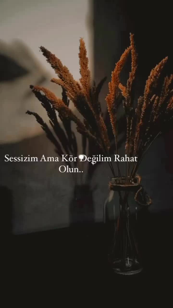 @Türkan kaya