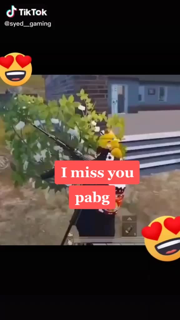@Rohit Mulmule