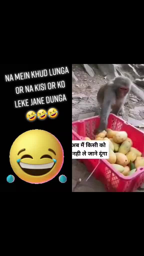 @⚔jai rajput⚔