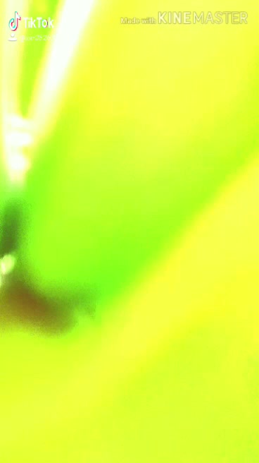 @user282634