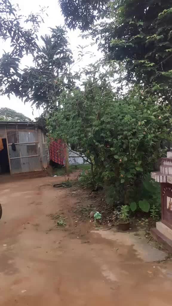 @Mintu Kar