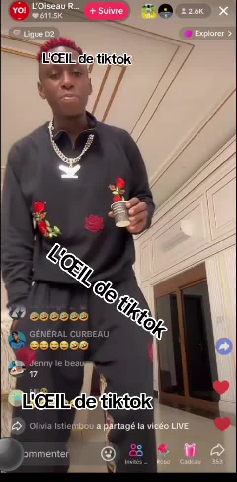 @L'ŒIL DE TIKTOK 📂