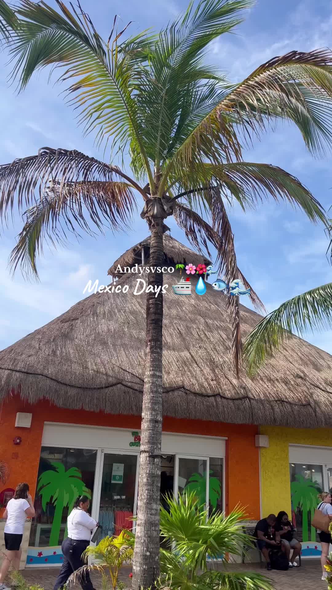 @andyslife