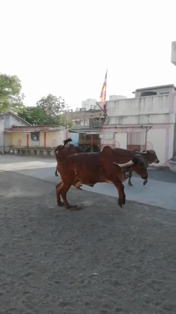 @Pranav_mesvaniya