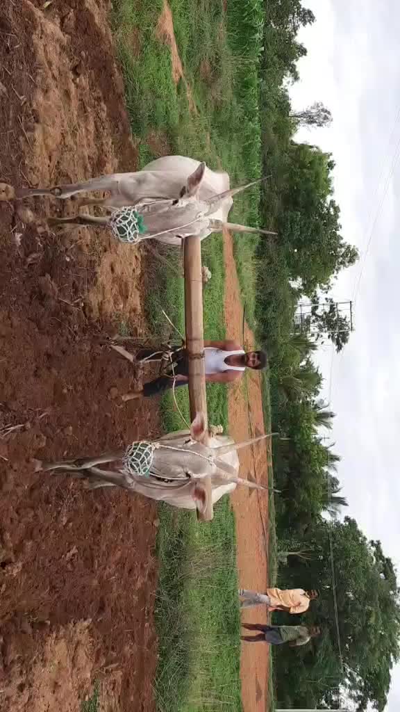 @ಗಂಗಾಧರ್ ಜಿಕೆ