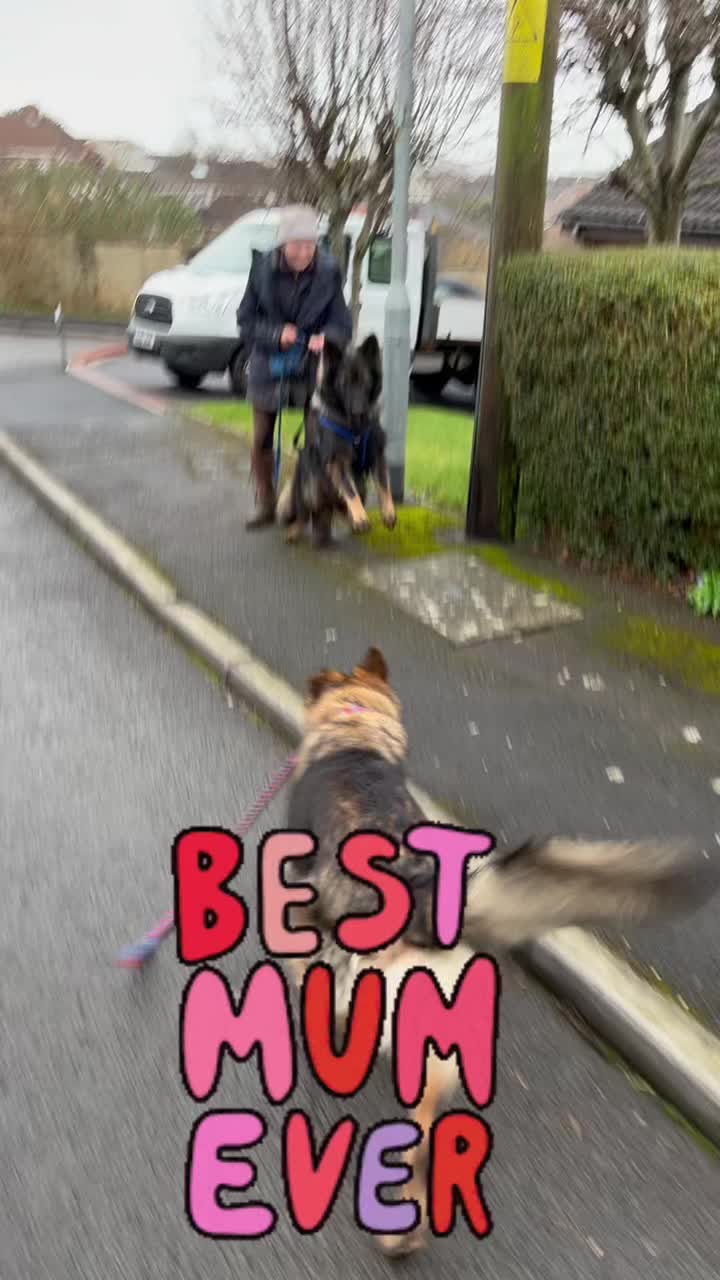 @TheGSDhubwithjennygould