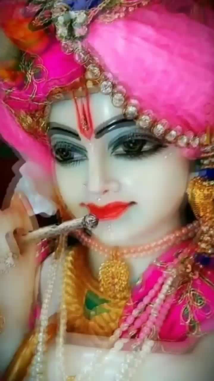 @Riya Ruhil