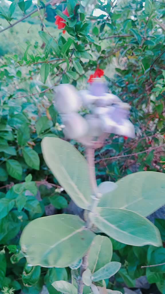 @Santhosh Santhosh