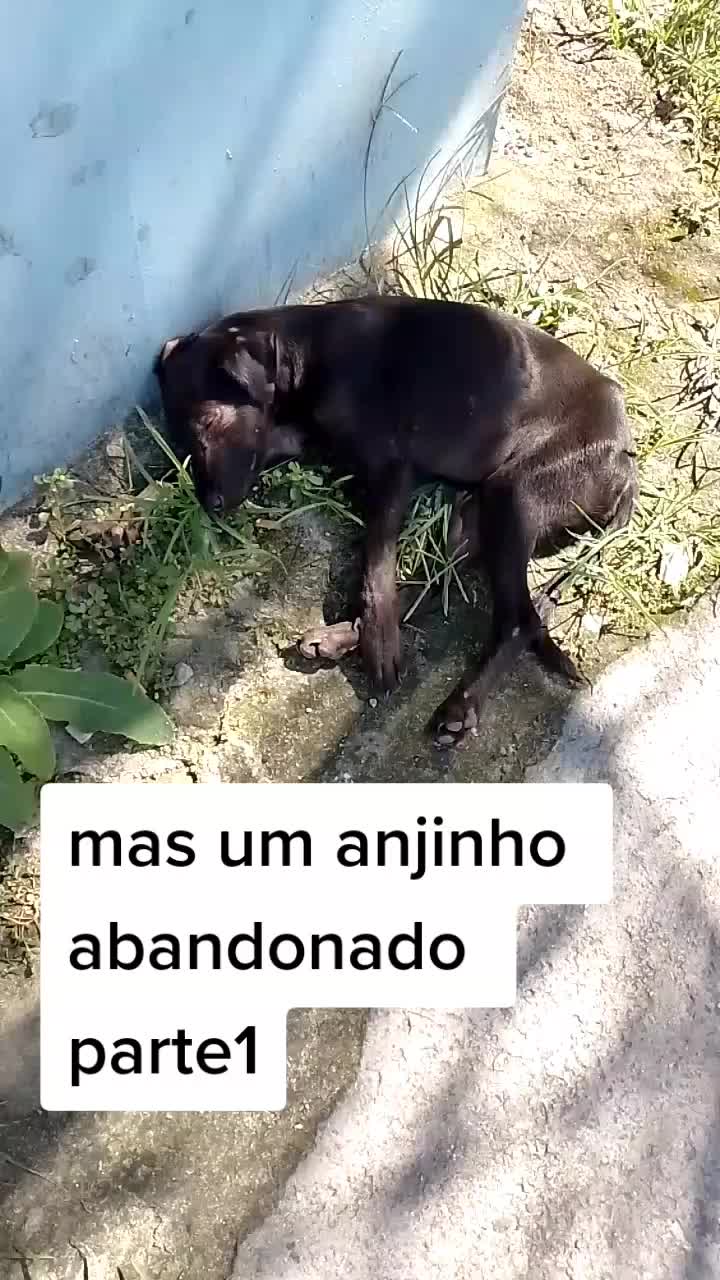 @Acacia Freire