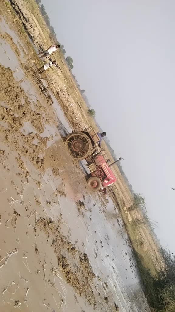 @user3320629621199