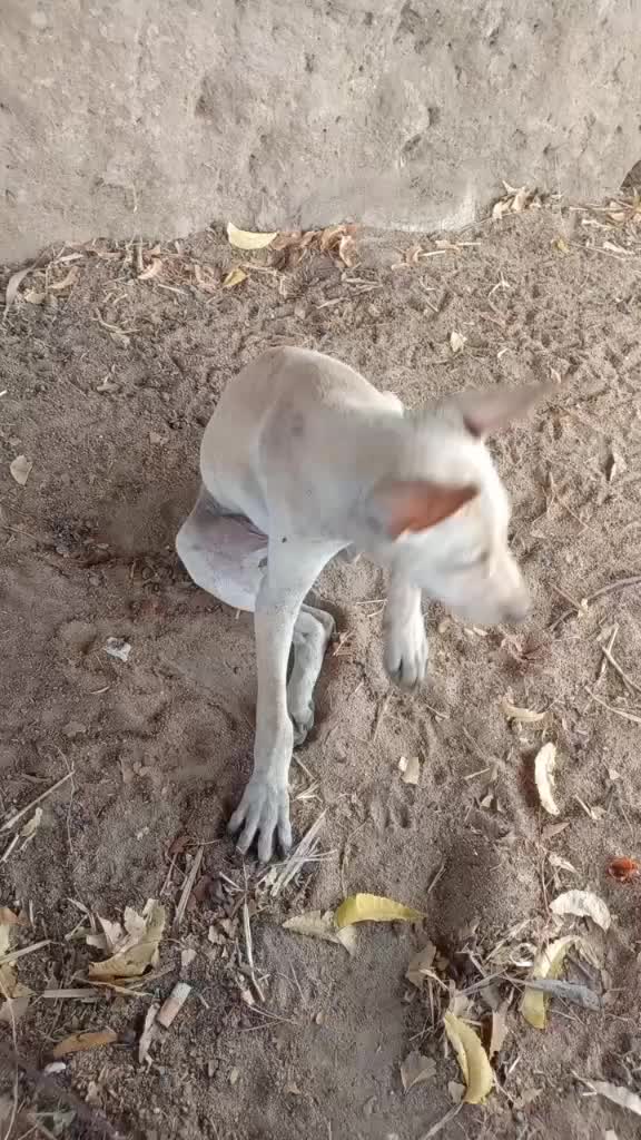 @Veera