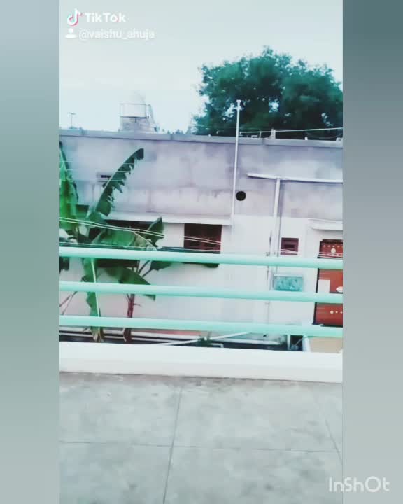 @vaish_ahujaaa