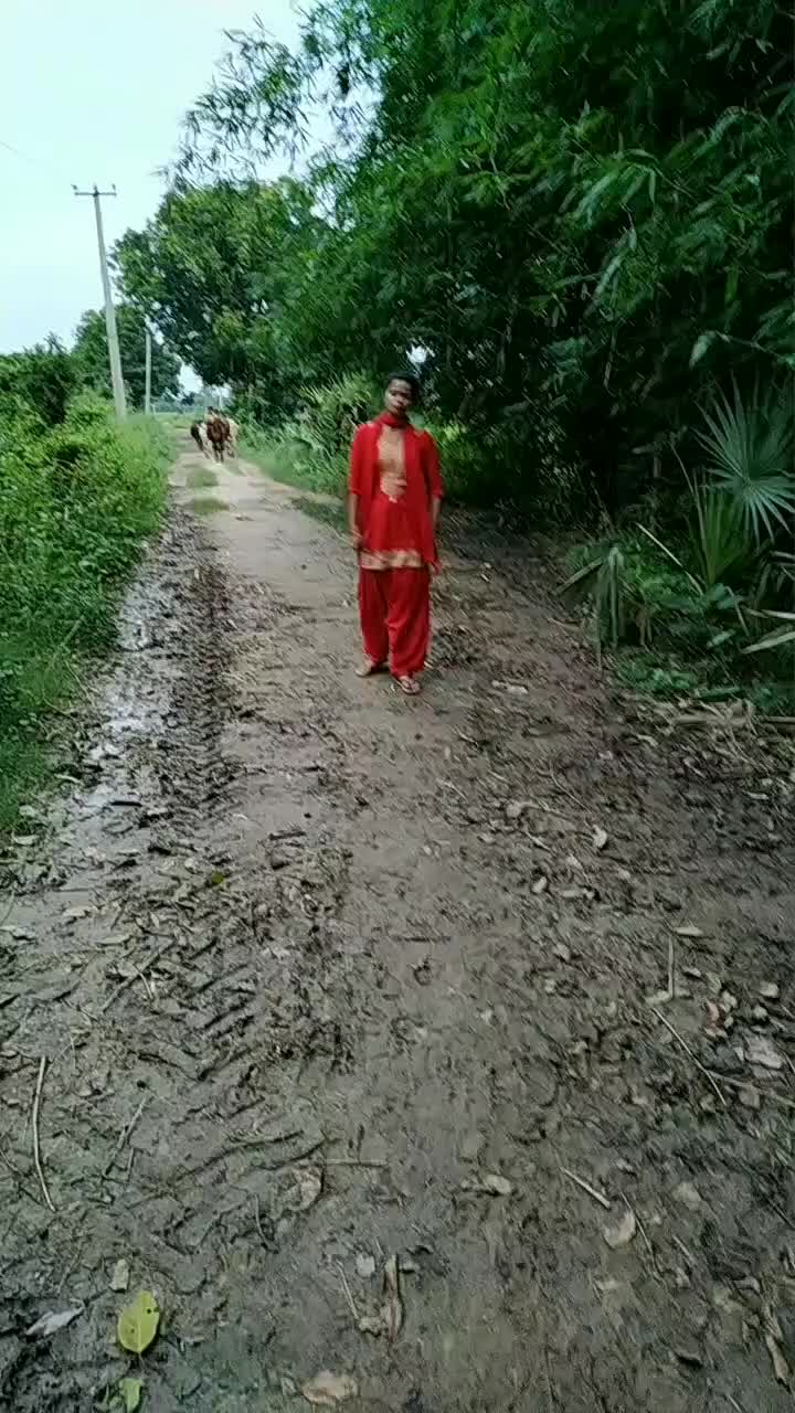 @user03541155839