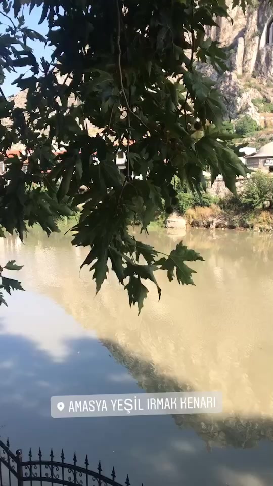 @Gülşen Tekeli