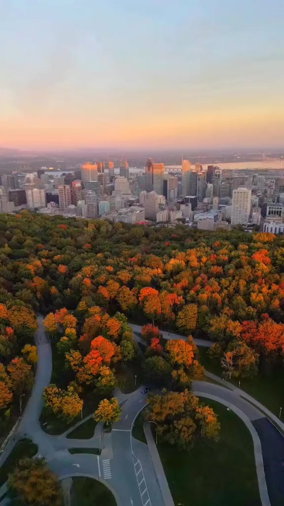 @Montréal Stories