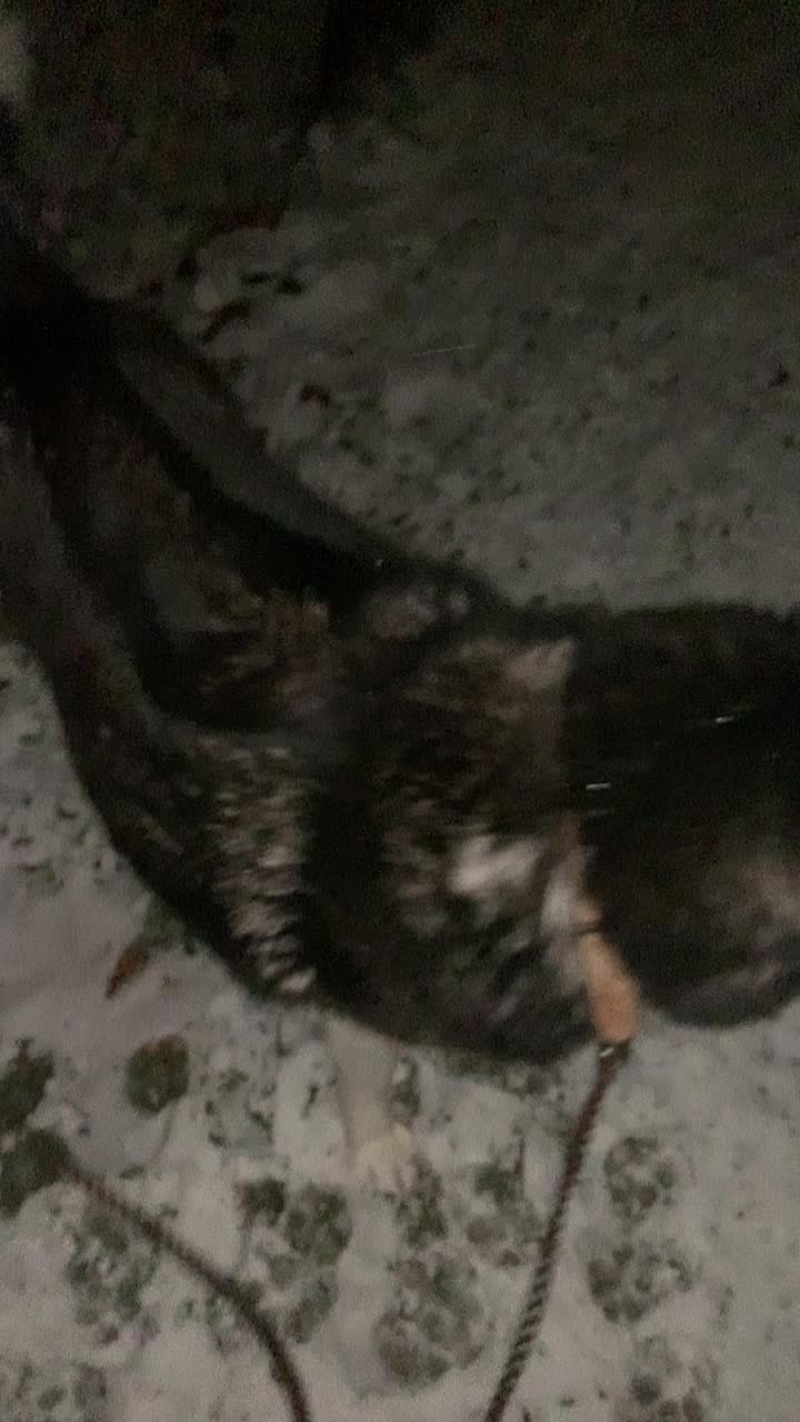 @Neli K&aacute;li, 🥰