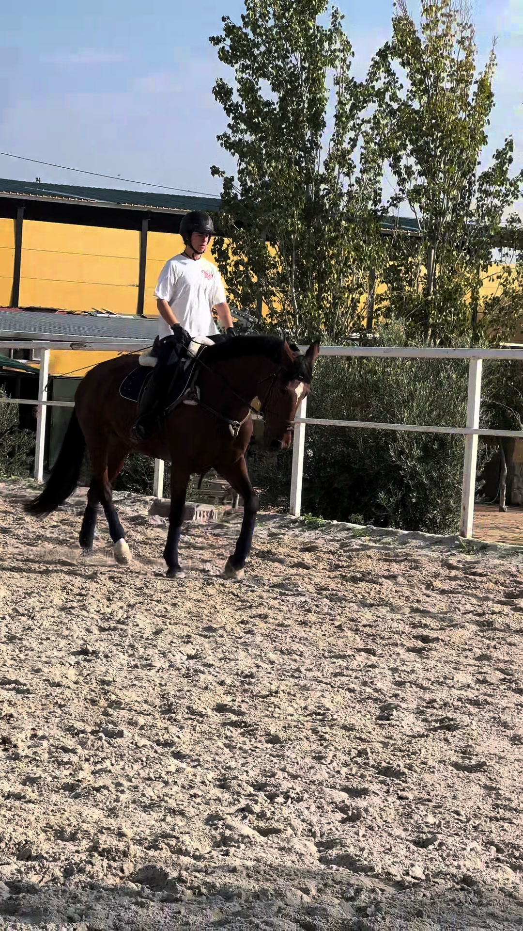 @MHA Teamriding