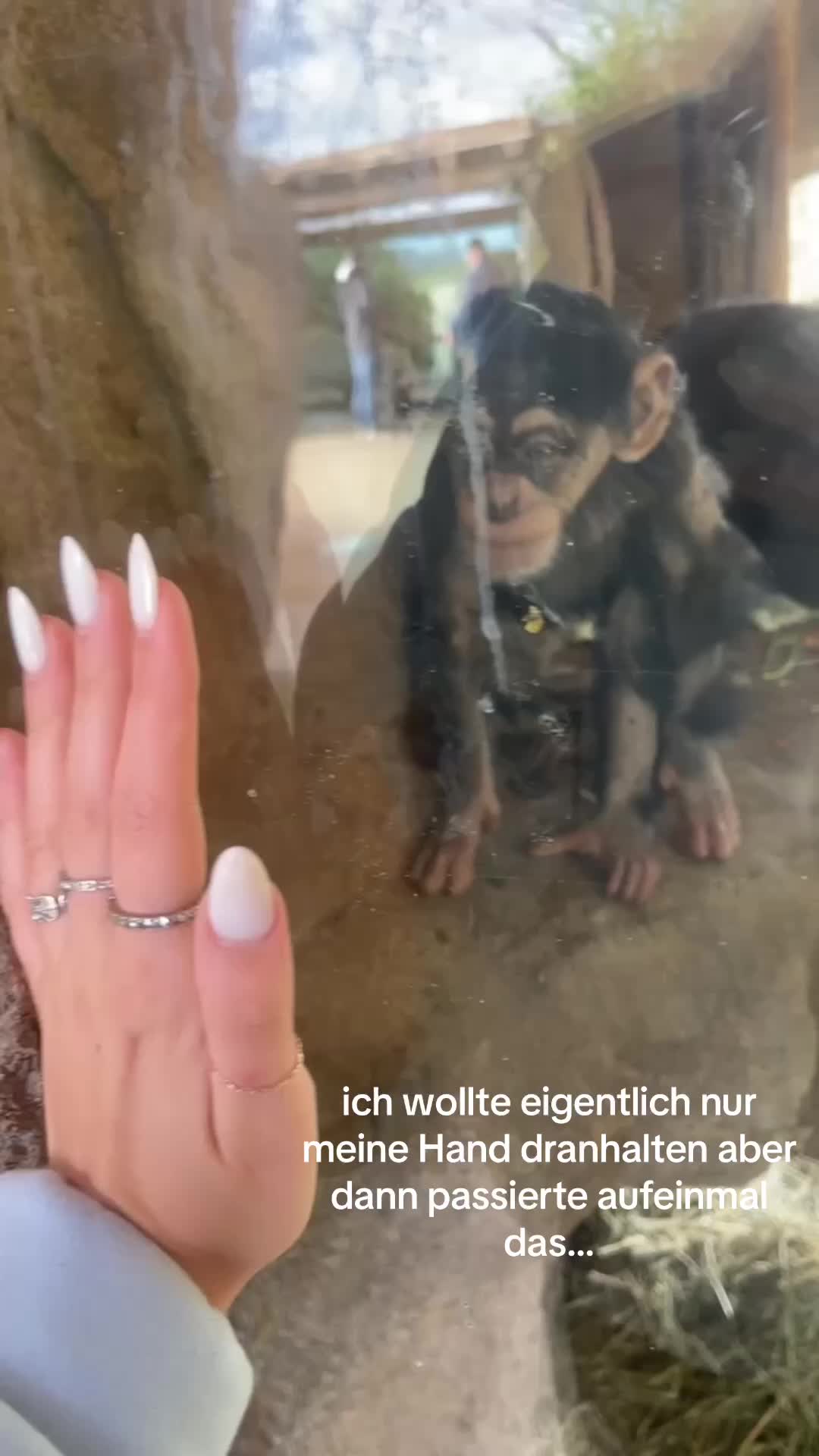 @ksenia