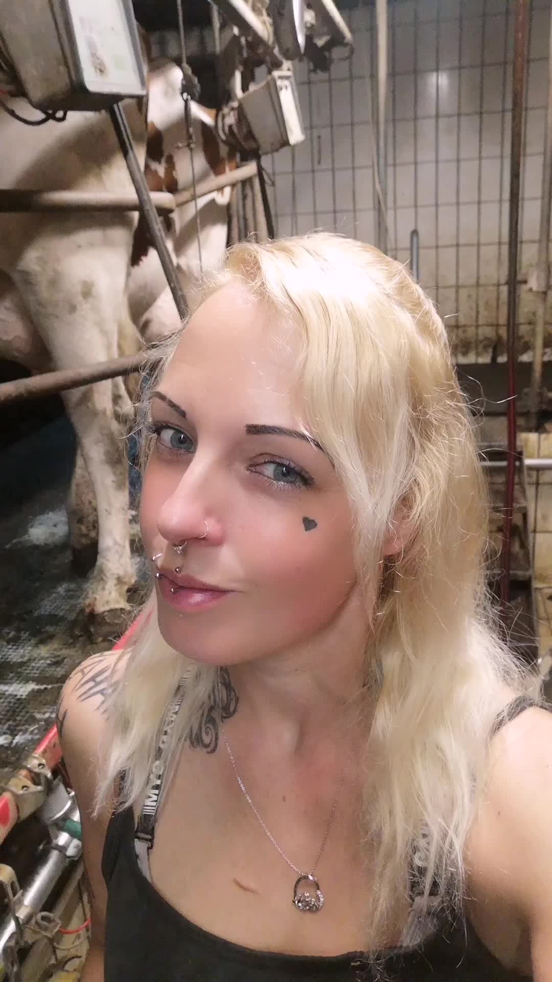 @T&auml;towierte Melkerin