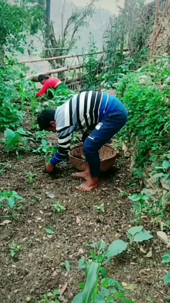 @chandu.aswal