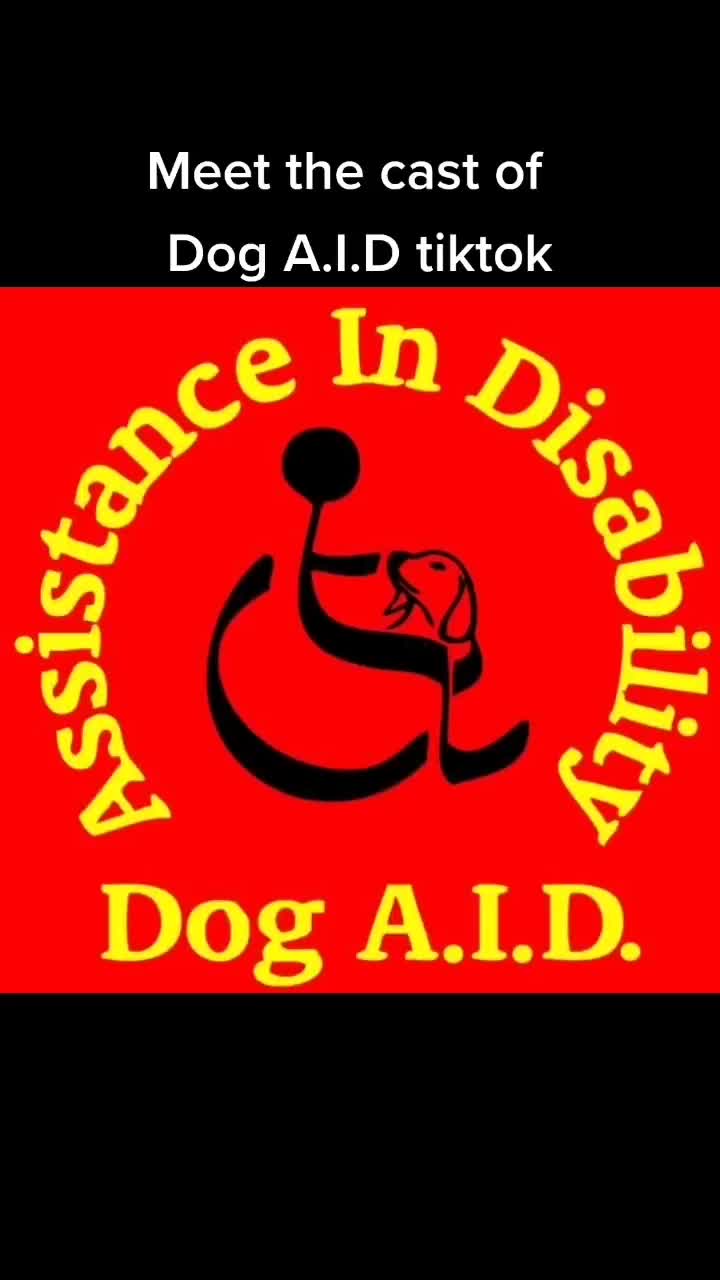 @Dog A.I.D.
