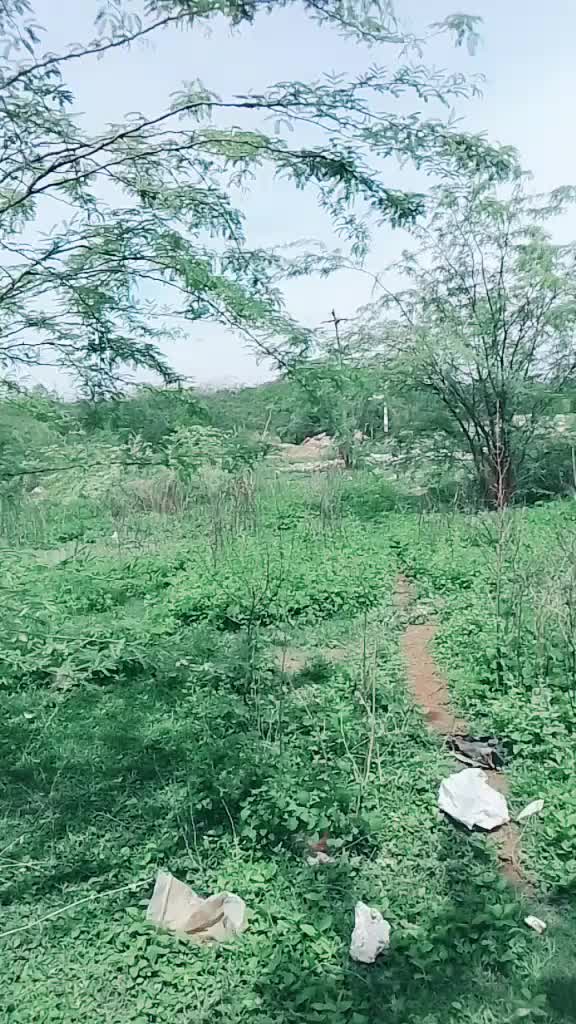 @Pulicherla Rakesh