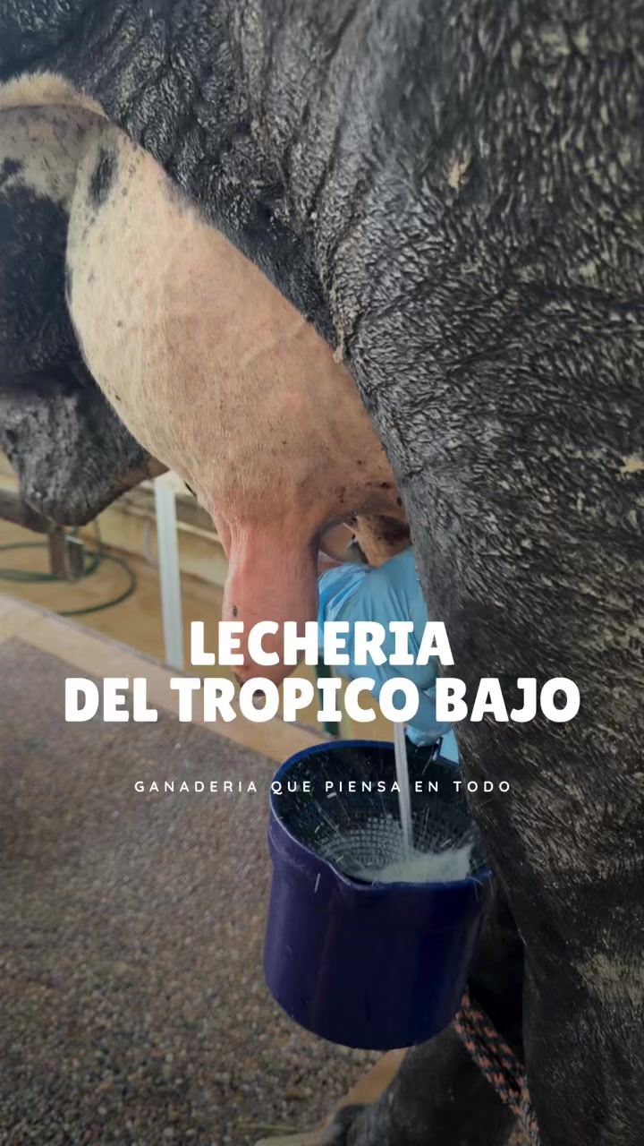 @Rehagronegocios