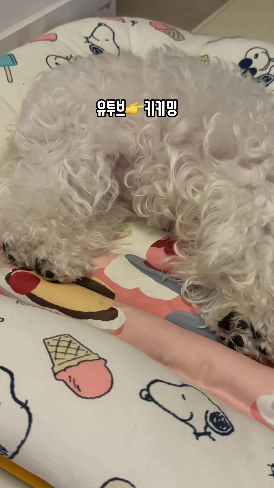@jeju_kiki