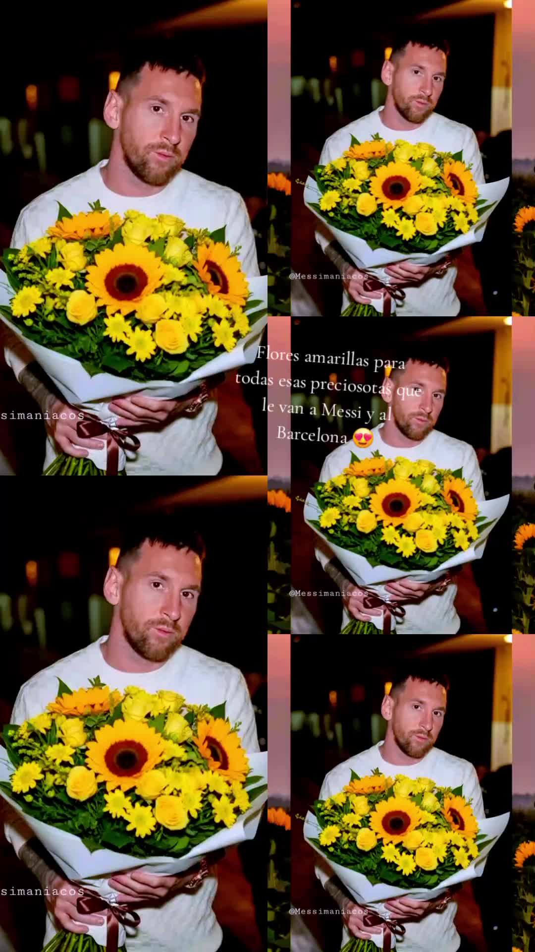 @carito ♥️🧸✨️🍒🍓🍀