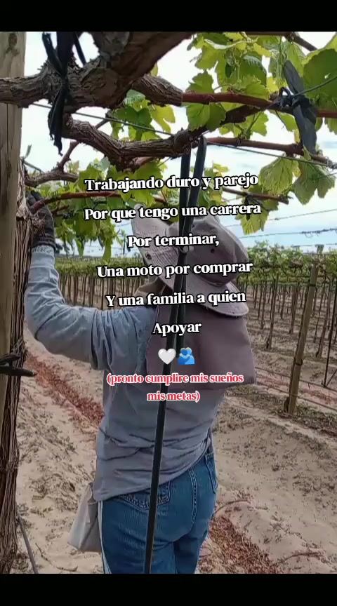 @Maria Suarez