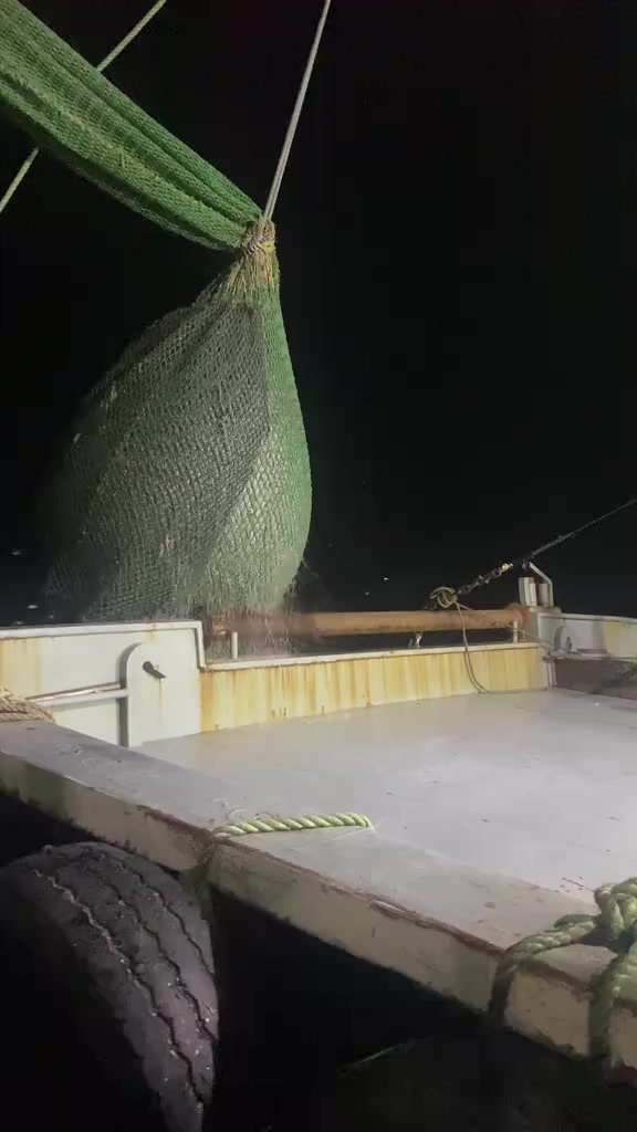 @🛳️hàmìdø⚓⚡Ræysë🐬🏴☠️