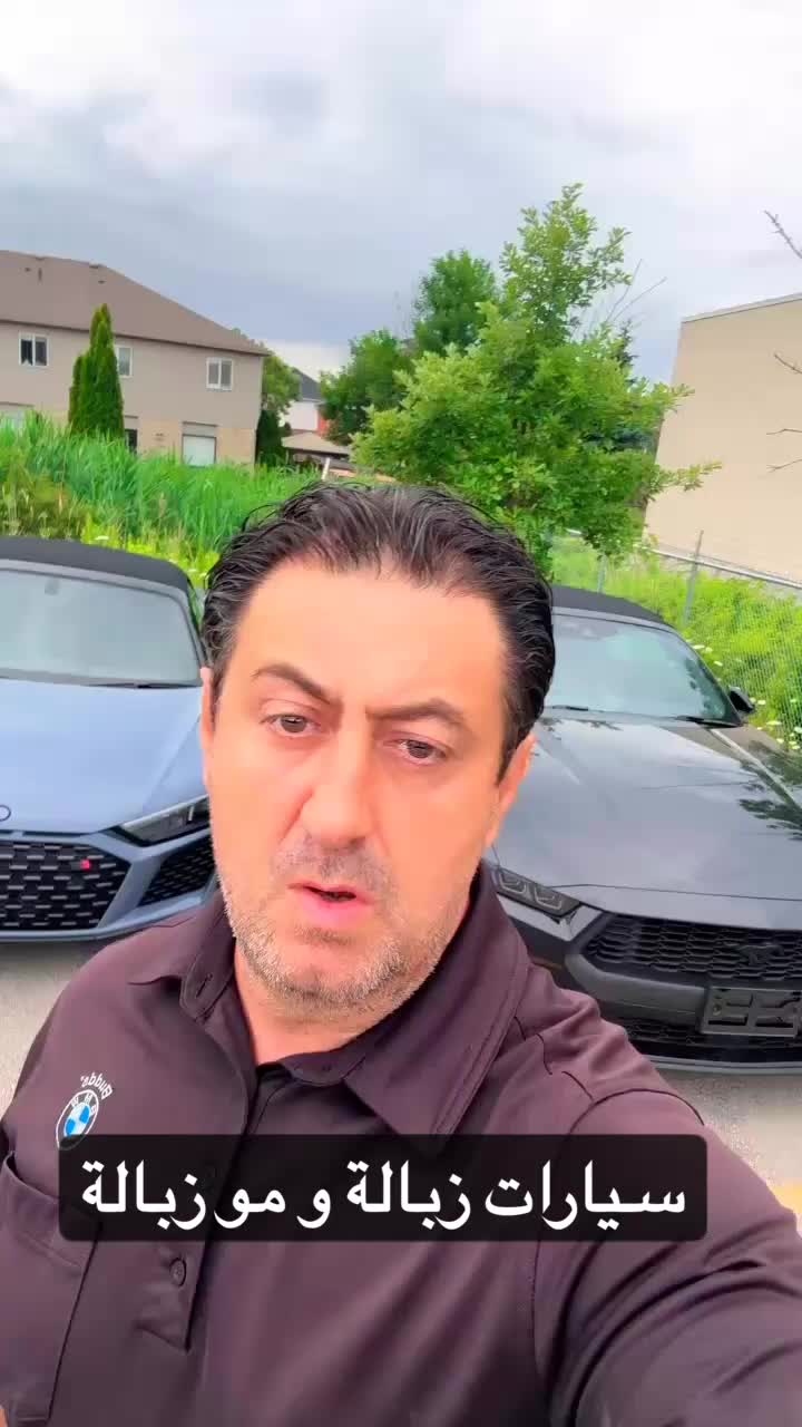 @Canadastallion 🇨🇦 الأصيل
