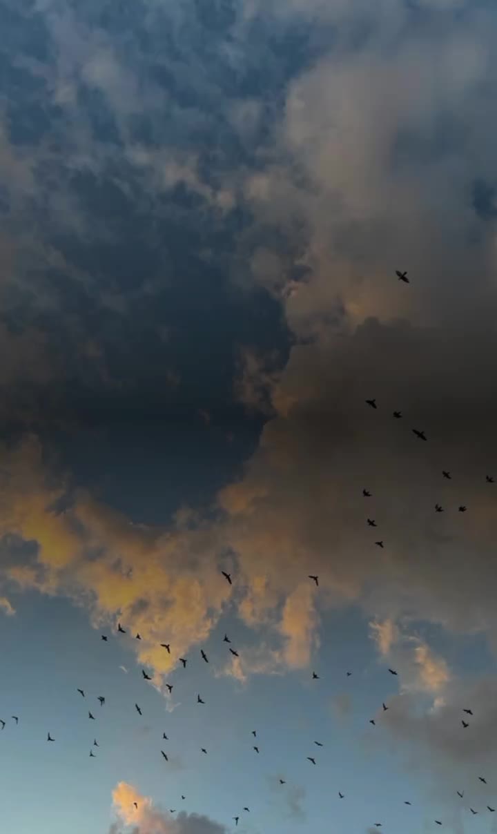 @اللهم عليك توكلت