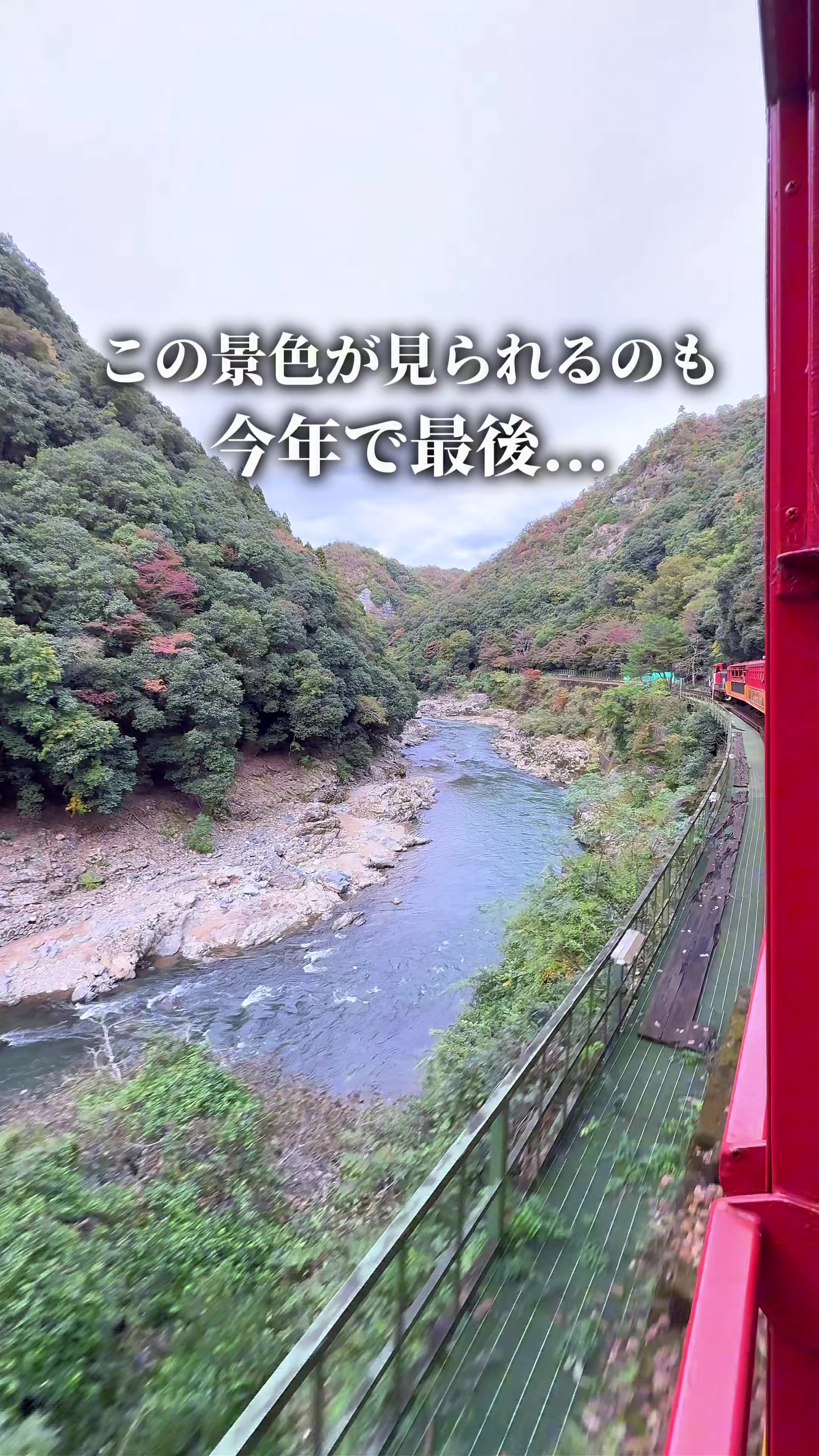 @ひろと / 大阪発!関西トレンド独占旅🔥