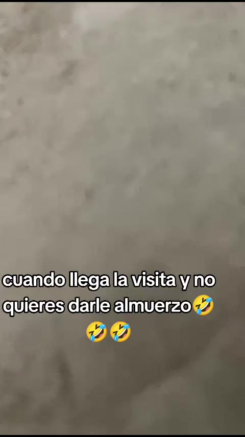 @estefaniazuluaga52